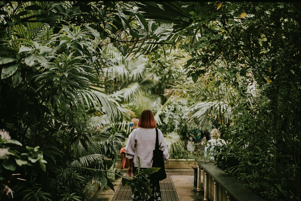 Jardins secretos e espaços verdes inusitados no Rio de Janeiro 1 Jardins secretos